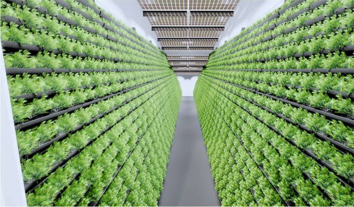 Indoor-Vertical-Farming - MABEWO informiert über Indoor-Farming-Systeme