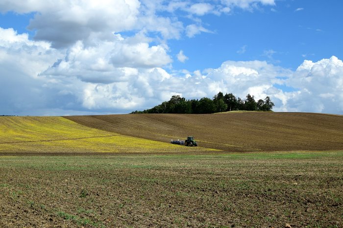 Ackerland heißbegehrtes Anlageobjekt - FiNUM.Private Finance AG